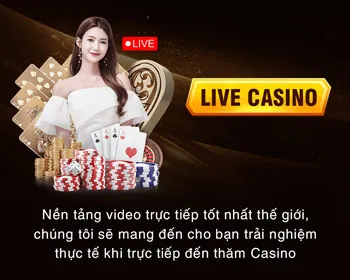 Giao diện người dùng thân thiện trên cả máy tính và điện thoại